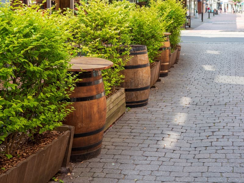 Rustic water barrels and greenery along a cobbled street