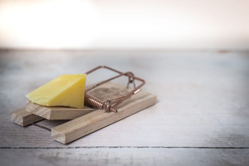 A wooden snap-style mouse trap baited and set on a rustic wooden surface